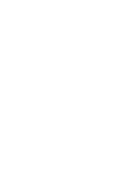 ANT Automobile
